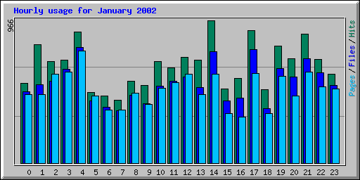 Hourly usage for January 2002