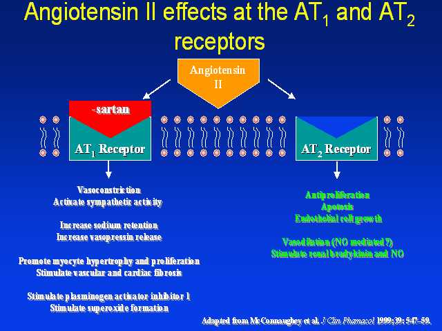 Angiotensin II effects at the AT1 and AT2 receptors