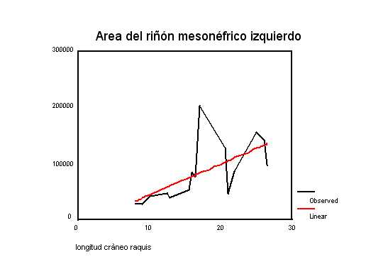 Figura 3