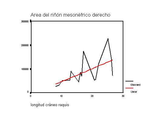 Figura 4