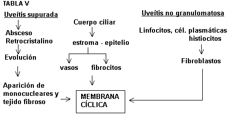 Tabla V