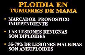 Fig. 12. PLOIDIA EN TUMORES DE MAMA