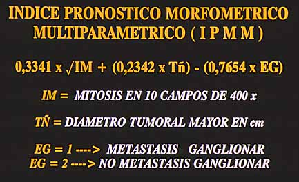 Fig. 17. INDICE PRONOSTICO MORFOMETRICO MULTUVARIANTE