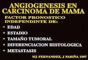 Fig. 21. ANGIOGENESIS EN CARCINOMA DE MAMA