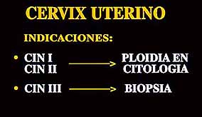 Fig. 40.  INDICACIONES DE ESTUDIOS DE PLOIDIA EN CASO DE DIAGNOSTICO DE CIN.