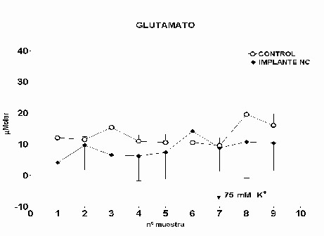 Glutamato