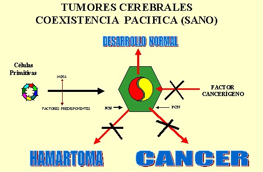 Coexistencia Pacfica con la neoplasia