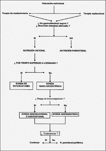 58f2 Soporte Nutricional Enteral 1922