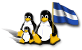 Logo Linux Nicaragua